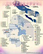9.物理学/数学:根本学科实